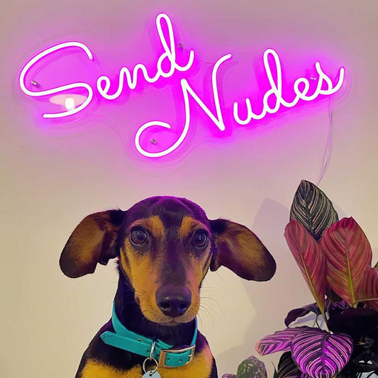 Send Nudes LED Neon Sign