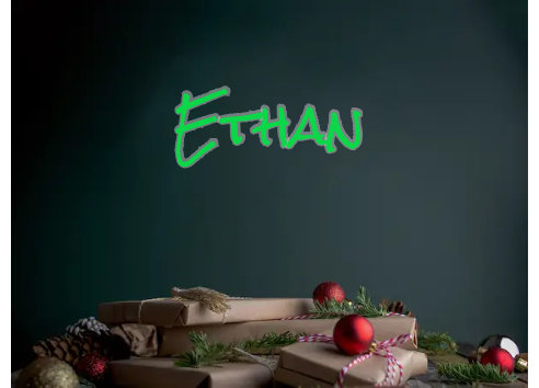 Custom Neon: Ethan