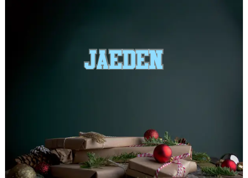 Custom Neon: JAEDEN