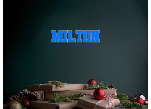 Custom Neon: Milton