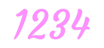 Custom Neon: 1234