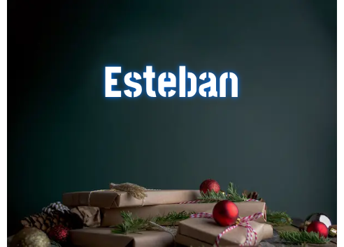 Custom Neon: Esteban