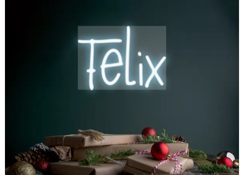 Custom Neon: Felix